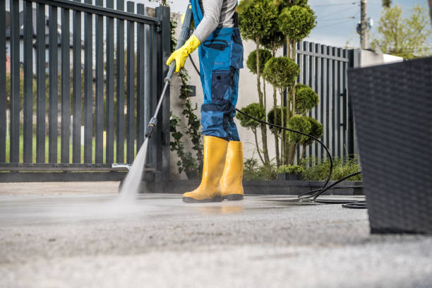 Best Residential Pressure Washing Services  in Morrisonvle, IL