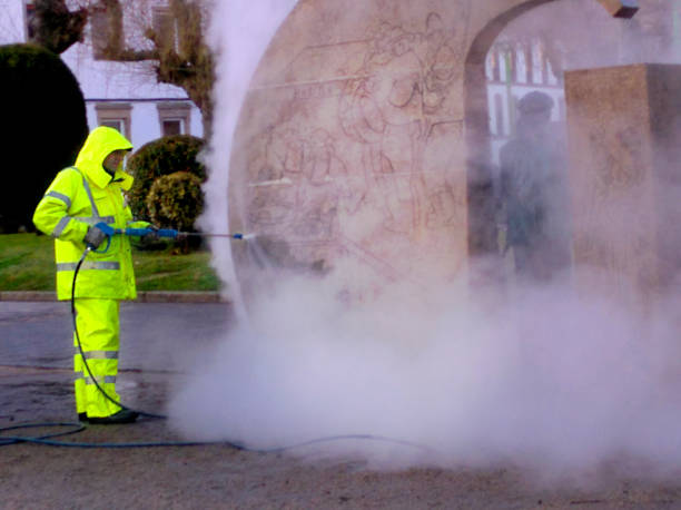 Best Residential Pressure Washing Services  in Morrisonvle, IL