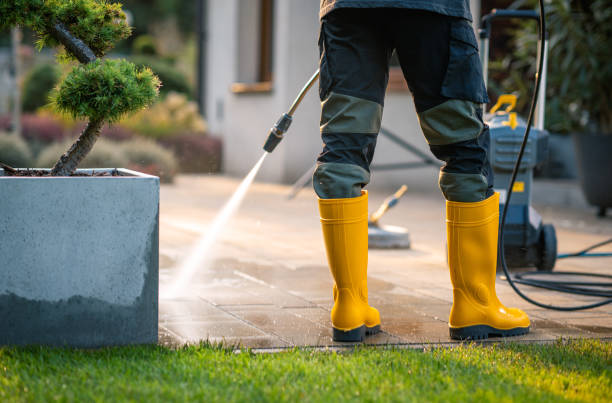 Best Fence Pressure Washing  in Morrisonvle, IL